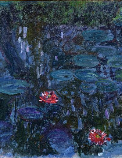 800px-Nymphéas_reflets_de_saule_1916-19